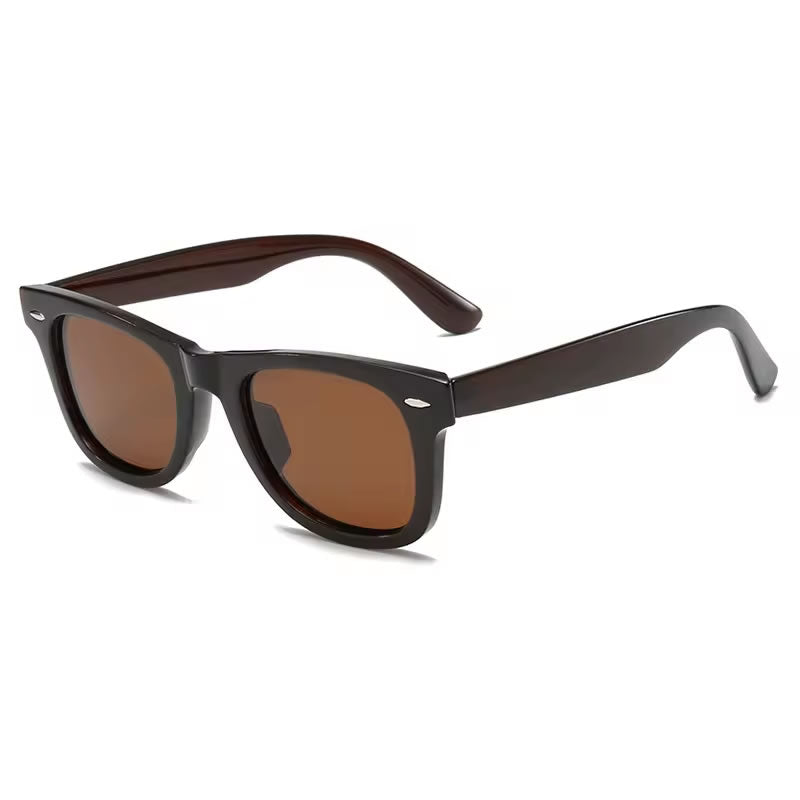 Wayfarer Sunglasses for Women
